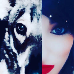 Experimental Journey