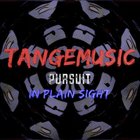 Pursuit/In Plain Sight
