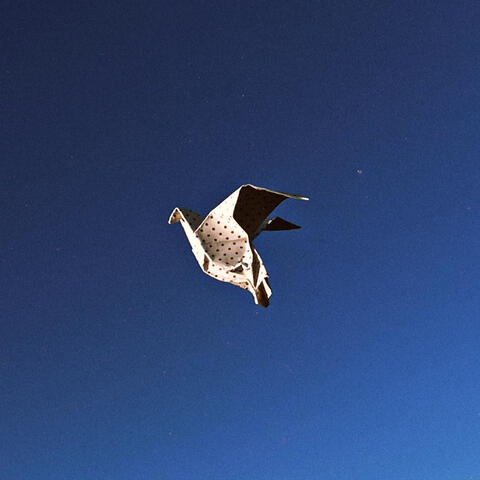 Paper Doves