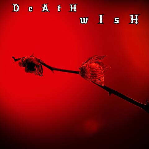 Death Wish