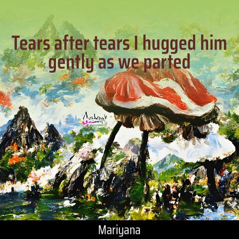 Tears After Tears I Hugged Him Gently as We Parted