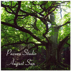 August Sun