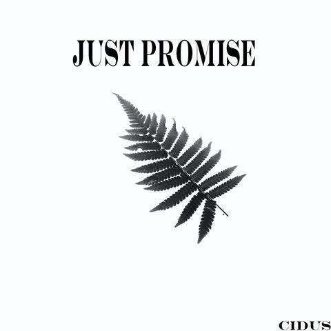 Just Promise