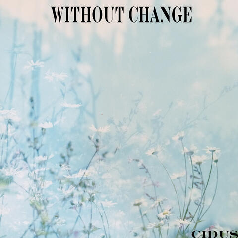Without Change