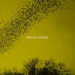 Bruce Wayne