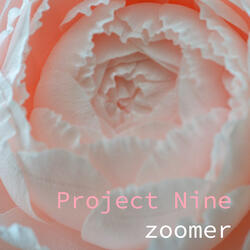 Project Nine