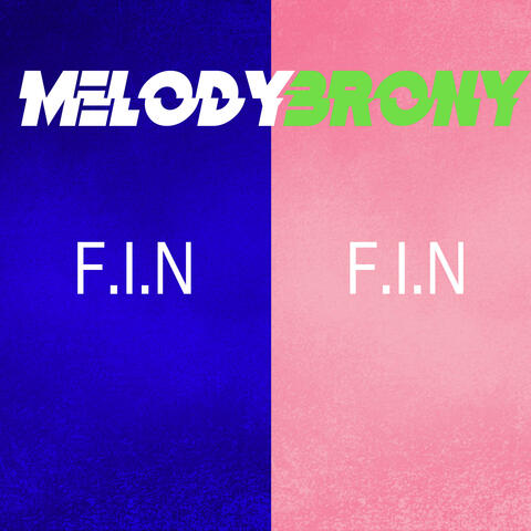 F.I.N