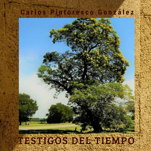 Testigos del tiempo
