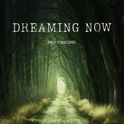 Dreaming Now