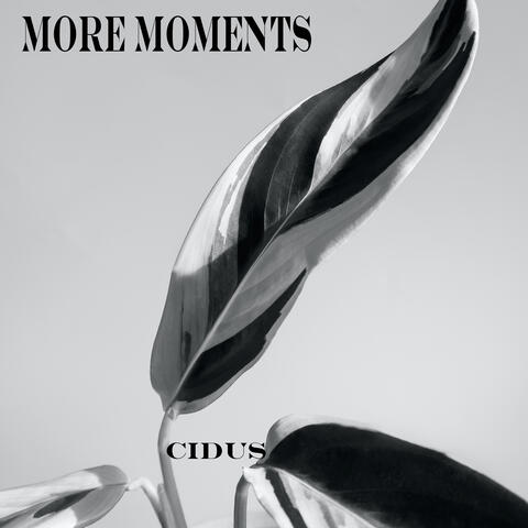 More Moments