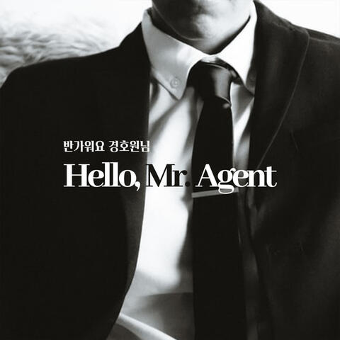 Immersive Audio Fantasy(Hello Mr. Agent)