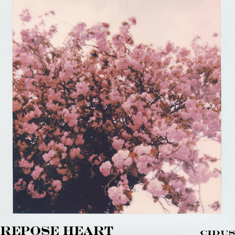 Repose Heart