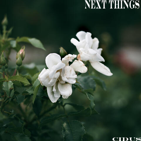 Next Things