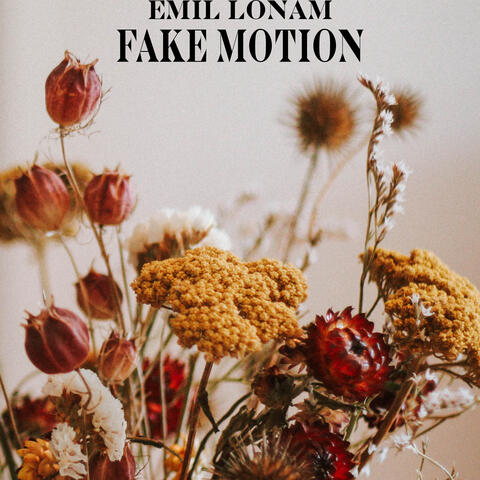 Fake Motion