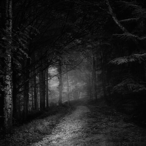 Dark Tune