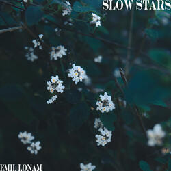Slow Stars