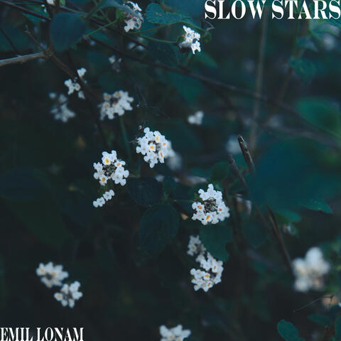 Slow Stars