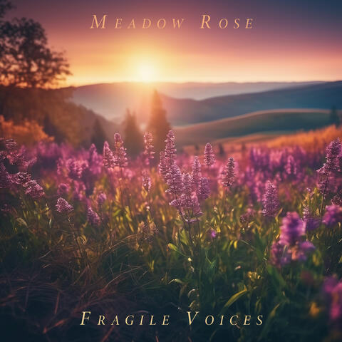 Fragile Voices