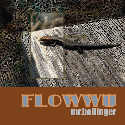 Flowwu