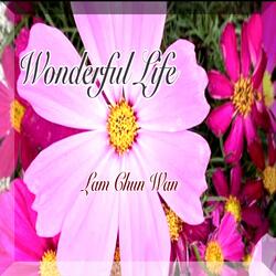 Wonderful Life