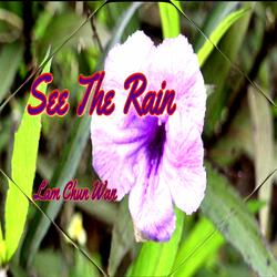 See the Rain