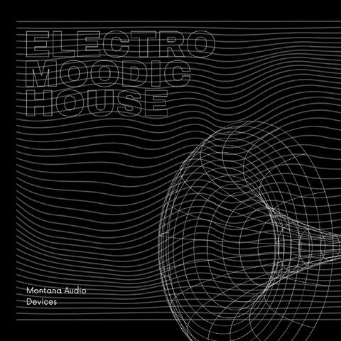 Electromoodic House
