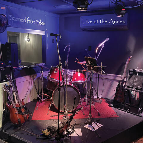 Live at the Annex
