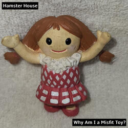 Why Am I a Misfit Toy?