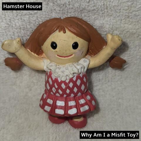 Why Am I a Misfit Toy?