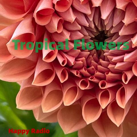 Tropical Flowers