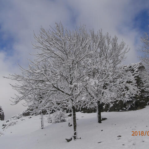 El Equipo del Legado Parte 2