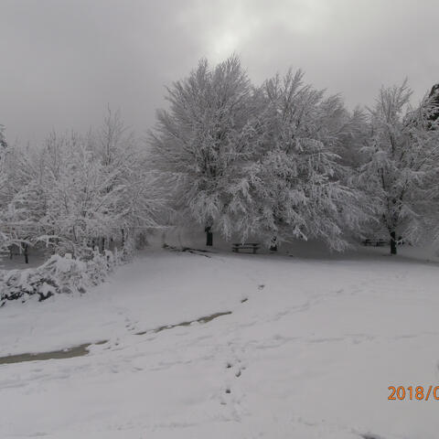 El Equipo del Legado Parte 3