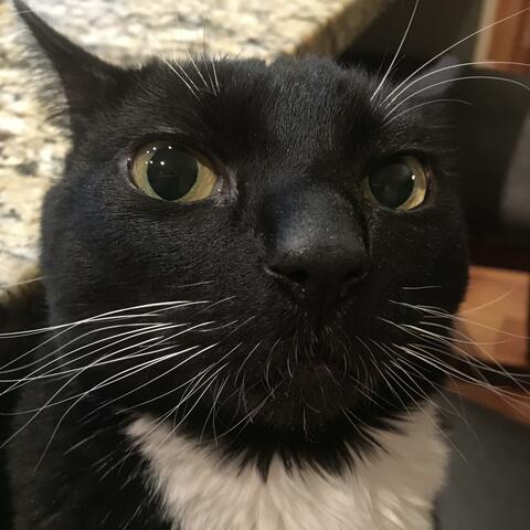 Pepper's Lounge