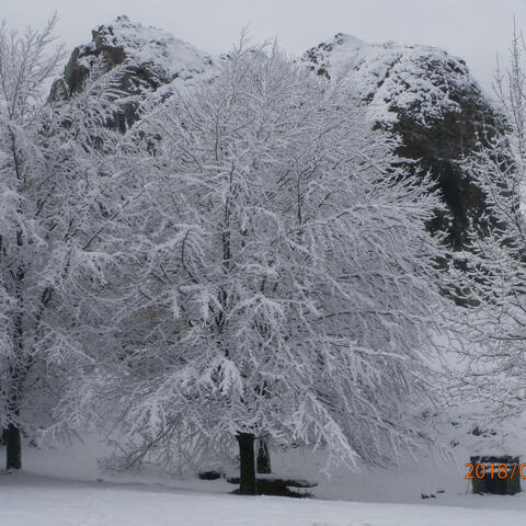 El Equipo del Legado Parte 1