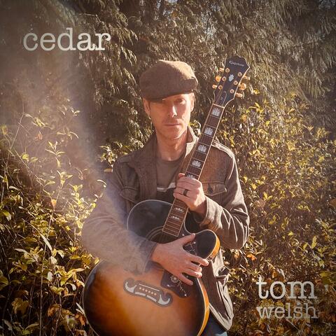 Cedar