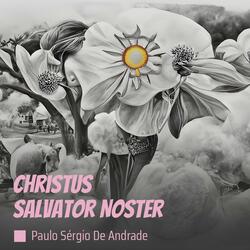 Christus Salvator Noster