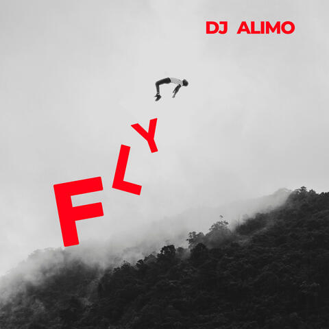 Fly