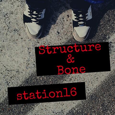 Structure and Bone