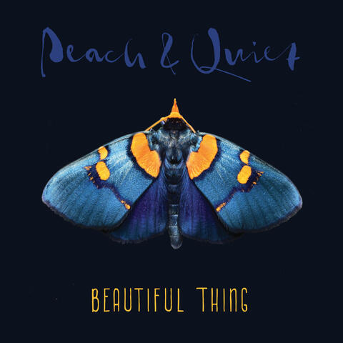 Beautiful Thing