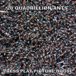 20 Quadrillion Ants