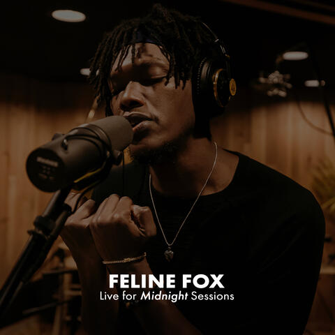 Feline Fox (Midnight Sessions) [Live]