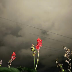 Moving with the Window