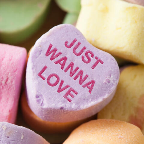 Just Wanna Love