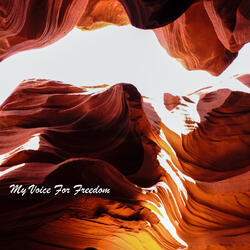 My Voice for Freedom