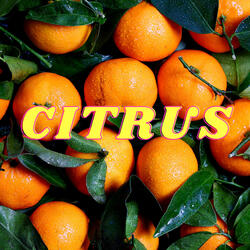 Citrus