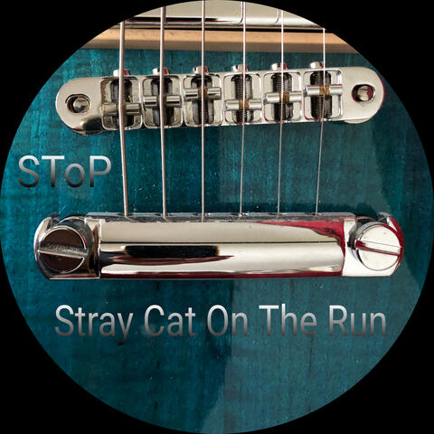 Stray Cat On The Run