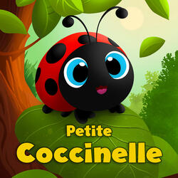 Petite coccinelle