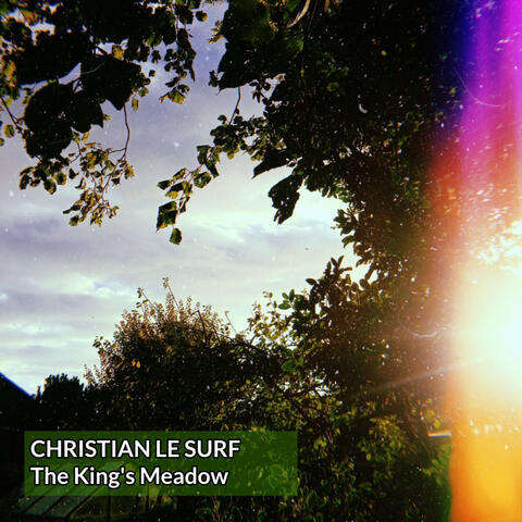 The King's Meadow