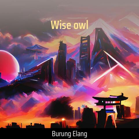 Wise Owl