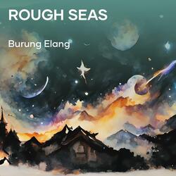 Rough Seas